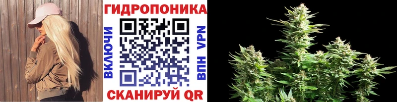 Конопля THC 21% Южа
